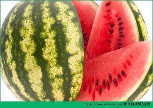 免费吃瓜天天不一样,每日新鲜,尽享娱乐盛宴 第3张 免费吃瓜天天不一样,每日新鲜,尽享娱乐盛宴 第3张