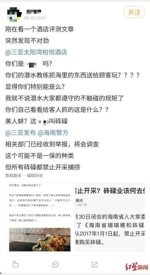 海南网友爆料新闻视频,惊现神秘新闻事件,视频曝光惊人内幕! 第2张 海南网友爆料新闻视频,惊现神秘新闻事件,视频曝光惊人内幕! 第2张
